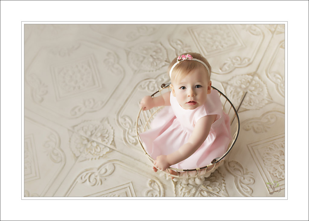 University Place baby photographer